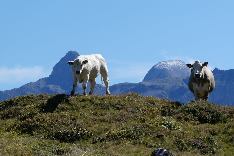 Курсы программирования и дизайна