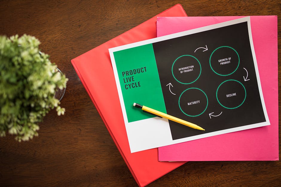 Курсы программирования и дизайна